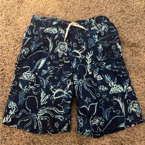 Lands' End Blue and White Swim Trunks with Nautical Design